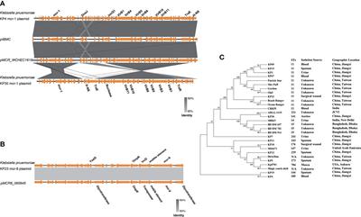 Molecular Mechanisms of Colistin Resistance in Klebsiella pneumoniae in a Tertiary Care Teaching Hospital